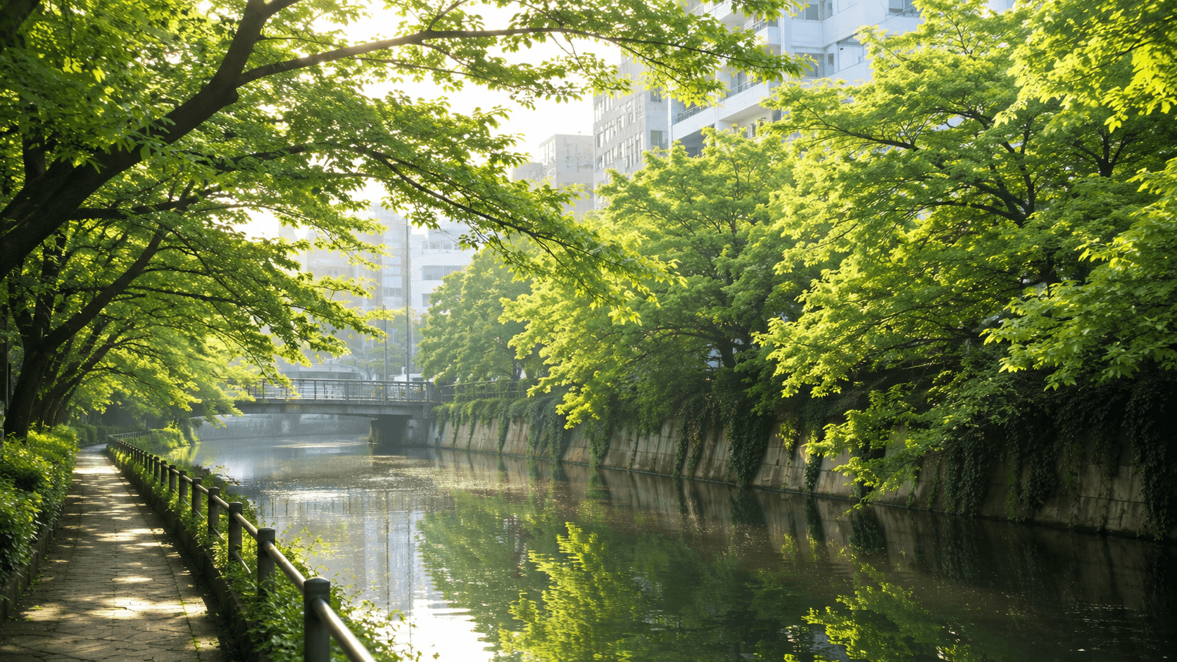 公園まで行かなくても、都心で自然の中を走れる。目黒川ランは中目黒から往復4km